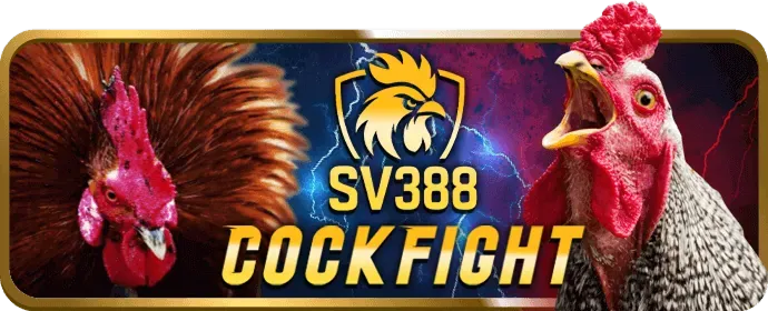 Cá cược Esports xbet APP